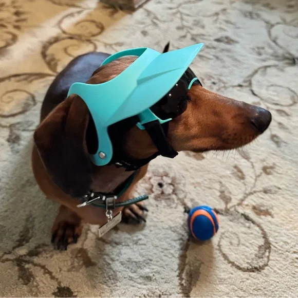 Small Dog Hat and Goggles Set Adjustable Sun Hat UV Protection Puppy Sunglasses - Picture 5 of 11